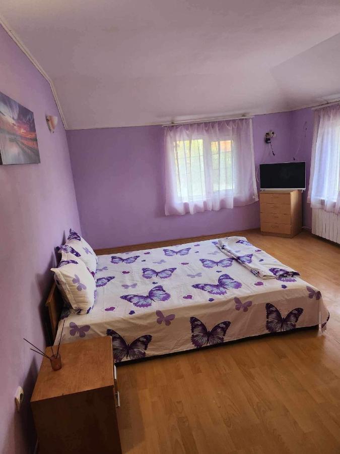 Guest House Iveta Szófia Kültér fotó